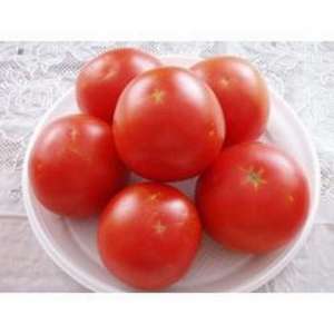  Лорелі F1 - індетермінантного типу насіння томата, 1000 насінин, Clause (Клаус) Франція фото, цiна